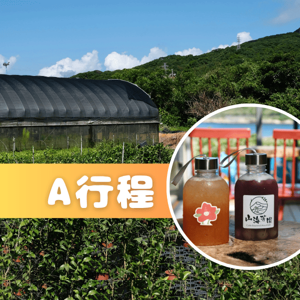 金山漫遊_萬金杜鵑 ✦ 秋季苗圃小旅行